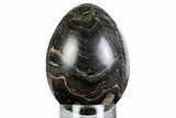Polished Stromatolite (Greysonia) Egg - Bolivia #363466-1